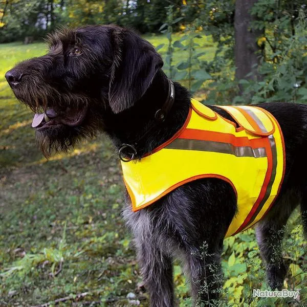 Gilet de signalisation pour grands chiens d'arrêt