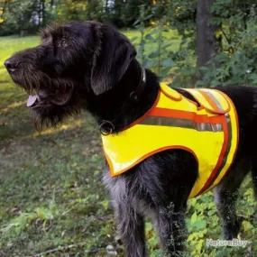 Gilet de signalisation pour grands chiens d'arrêt